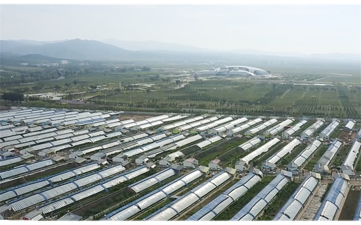 野馬圖村設(shè)施農(nóng)業(yè)建設(shè)項目蔬菜基地排污管網(wǎng)工程